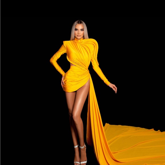 Albina Dyla Dress size 38 - Picture 1 of 3